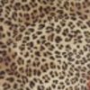 leopard print hotflex
